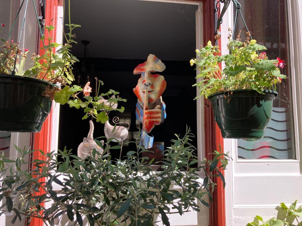 Les Orchidees Bed & Breakfast Salies-de-Bearn Luaran gambar